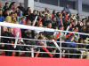 20241119_Vojvodina_Nexe_59