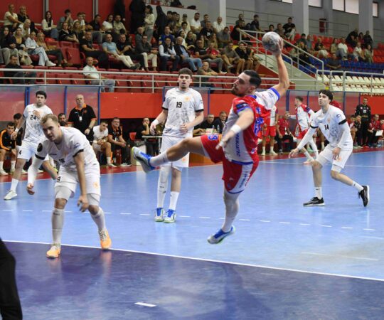 ARKUS: Vojvodina – Lavovi 36:25